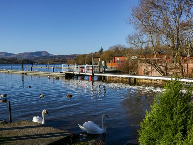 Lily Rose Lodge - 1168542 - photo 3