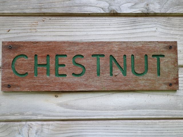 Chestnut Lodge - 1168741 - photo 3