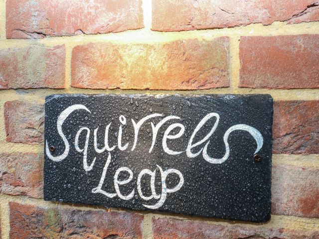 Squirrel's Leap - 1169788 - photo 3