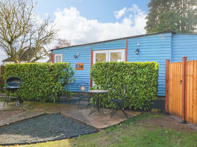 Shed Your Blues - 1169975 - photo 2