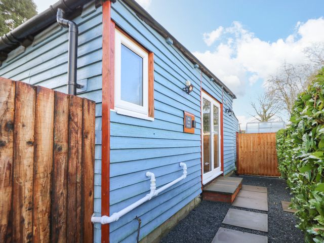 Shed Your Blues - 1169975 - photo 3