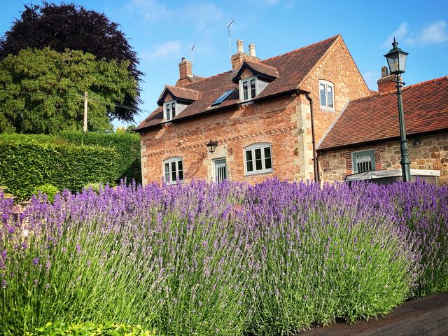 New Elms Farmhouse - 1169994 - photo 2