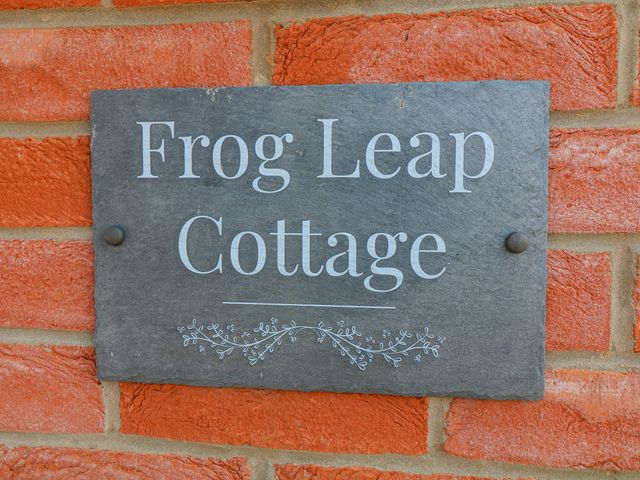 Frog Leap - 1170548 - photo 3