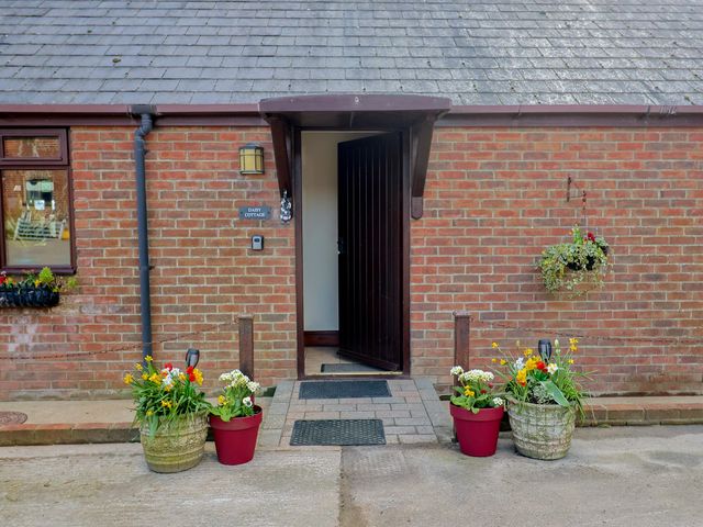 An entrance with flower planters at Daisy Cottage in Whitchurch Canonicorum near Charmouth