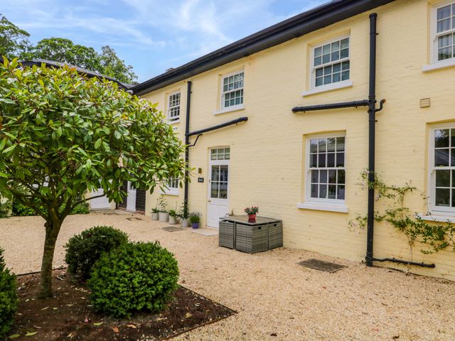 An outdoor area with a tree and planter at Beech in Newbury