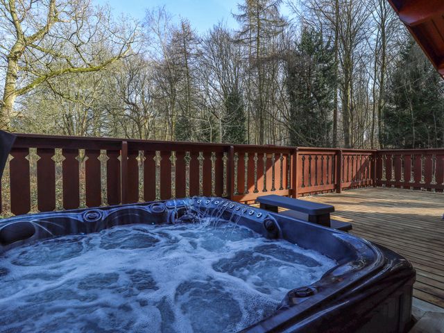 Forest Lodge Kenwick Park - 1170935 - photo 4
