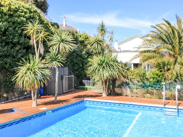 An outdoor pool with a blue tiled edge surrounded by wooden decking and various palm trees at Delmonte Lodge in Torquay