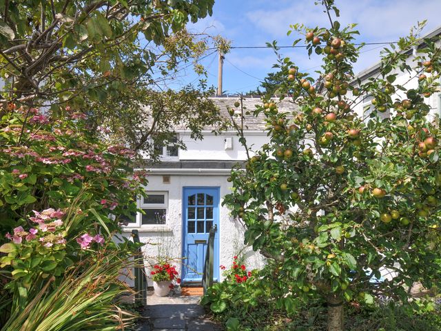 A house with a blue door and plants at 2 Porthilly Cottages in Rock