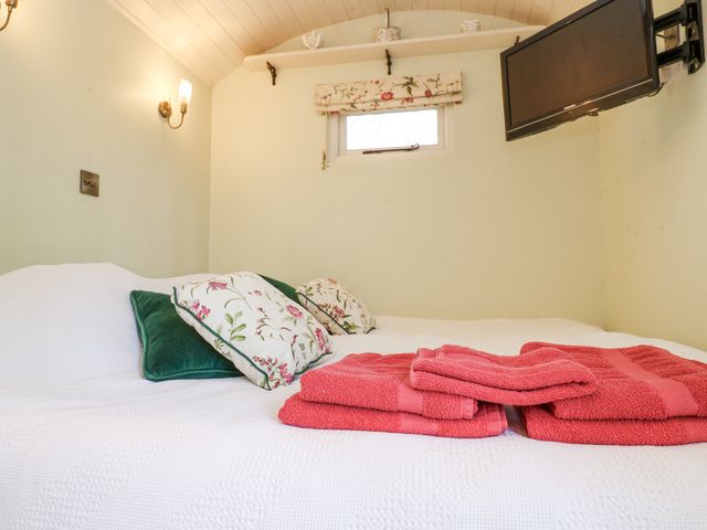 Woodlands Retreat Shepherd's Hut - 1171338 - photo 5