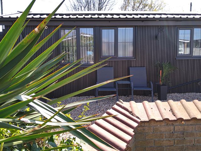 An outdoor space with a building wall with three windows two chairs a potted plant and spiky green plants in the foreground at 19 The Court in Anderby Creek