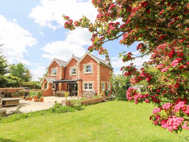 A red brick house with a patio and garden with flowering tree branches in the foreground at Milston in Chale
