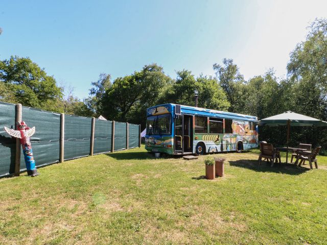 The White Cloud Bus - 1172315 - photo 1 