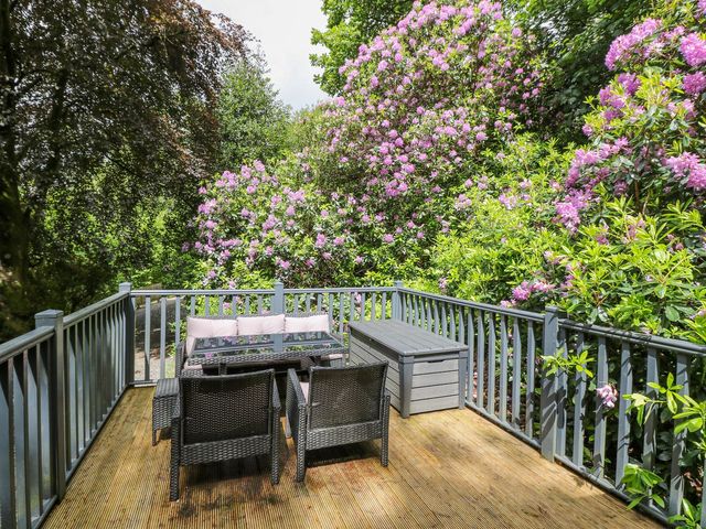 Serenity - 1172347 - photo 2
