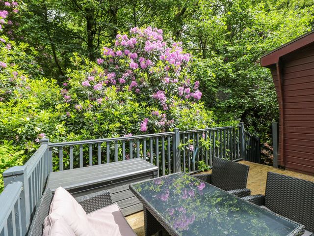 Serenity - 1172347 - photo 3