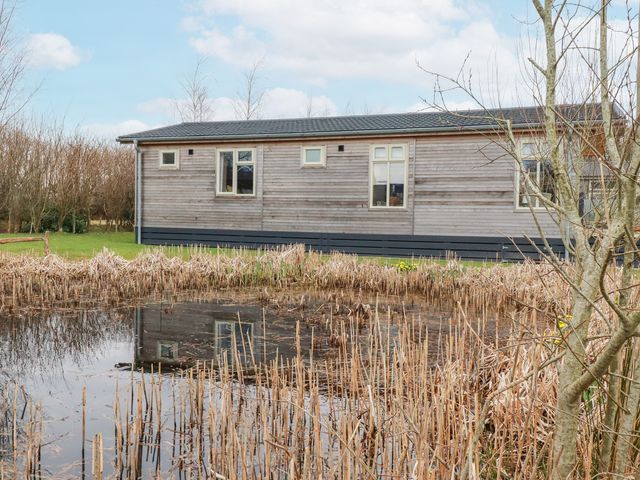 A pond with dry reeds in front of a wooden house with windows at 6 Meadow Retreat in Dobwalls