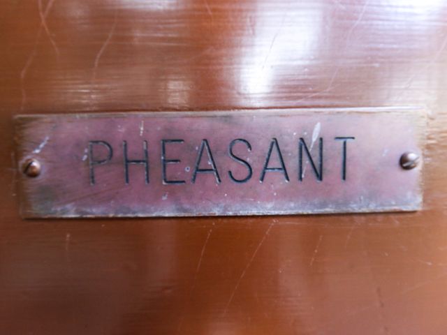Pheasant - 1172647 - photo 3