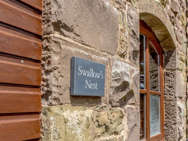 Swallow's Nest - 1172790 - photo 4