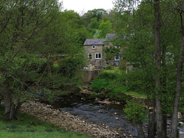 A house near a river surrounded by trees at Whinstone Cottage Esk Valley near Grosmont