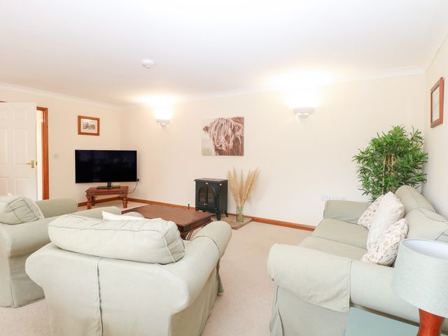 Sycamore - 1173831 - photo 5