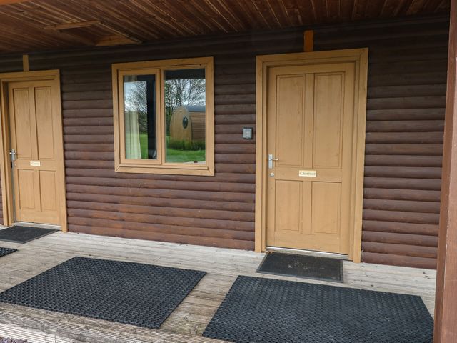 Chestnut - 1173980 - photo 1