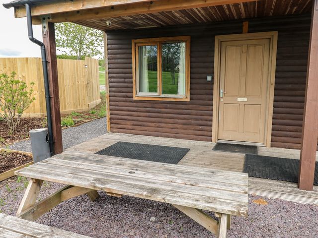 Oak - 1173981 - photo 1