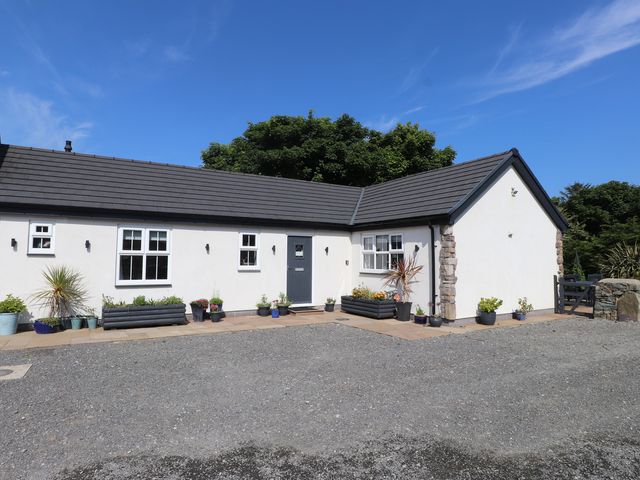 Exterior view of a white single-story house with a grey door and multiple potted plants at Annexe at Ty Moel Isaf in Pengorffwysfa near Amlwch