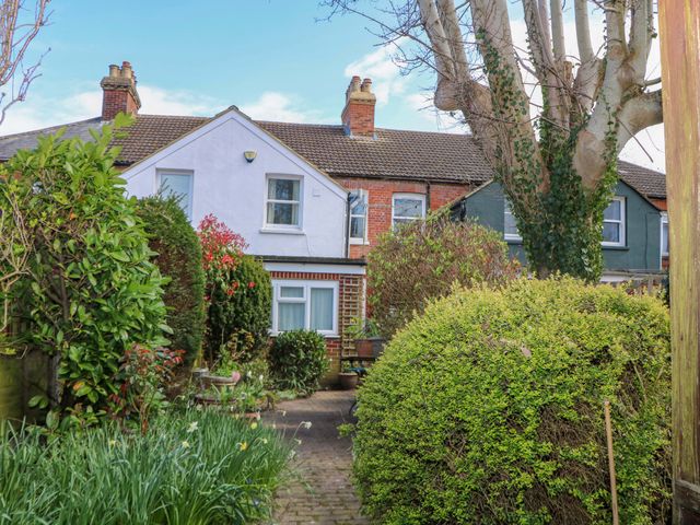 A garden with bushes and a tree at 70 High Street in Canterbury