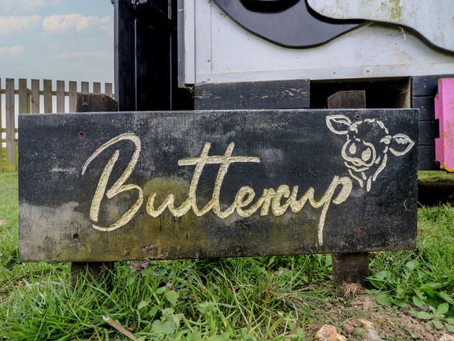 Buttercup (Cow Shed 3) - 1174328 - photo 2