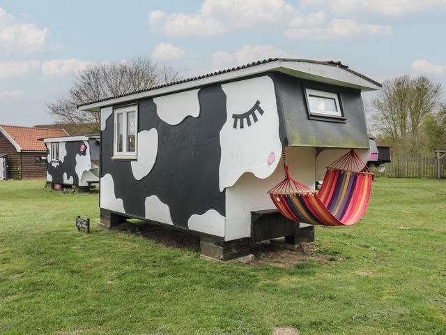 Dozy Dotty (Cow Shed 4) - 1174329 - photo 1