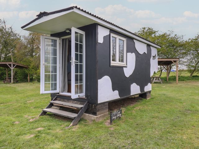 Dozy Dotty (Cow Shed 4) - 1174329 - photo 3