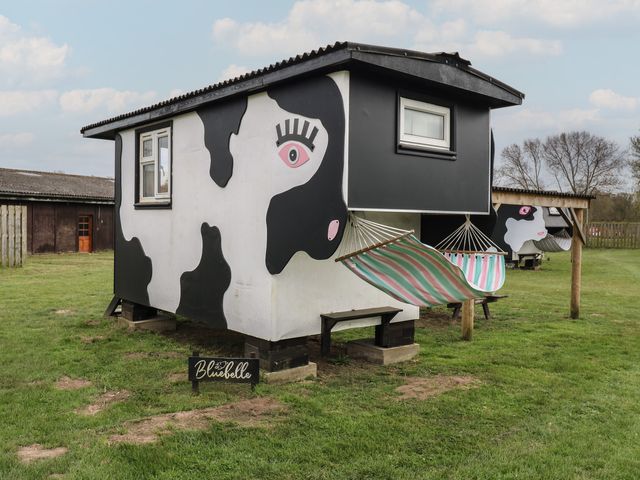 Bluebelle (Cow Shed 5) - 1174330 - photo 1