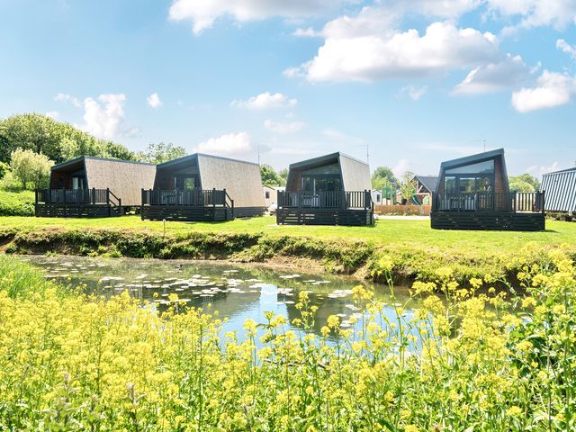 Four small modern lodges with front porches on grass near a pond with yellow flowers at Billing Aquadrome Holiday Park