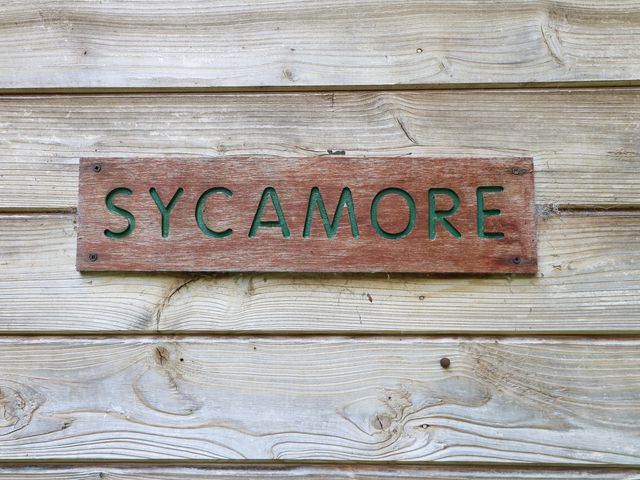 Sycamore Lodge - 1176181 - photo 4