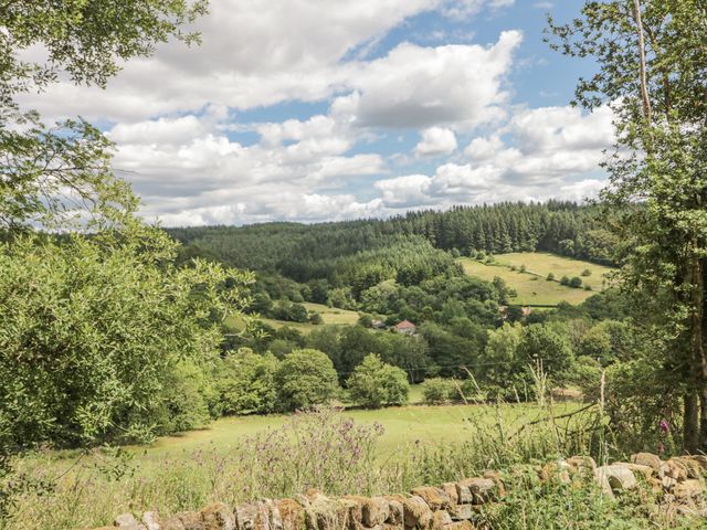 Low Muffles Bridge - 1176206 - photo 2
