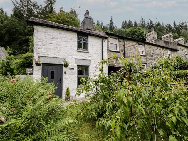 Squirrel Cottage - 1176392 - photo 2