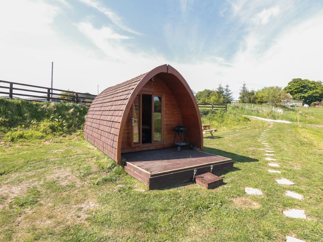 Deer Pod - 1176519 - photo 1 