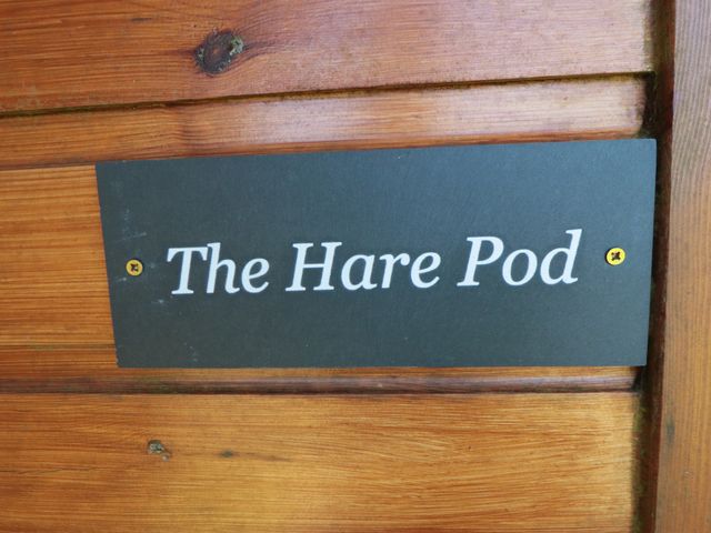 Hare Pod - 1176590 - photo 2