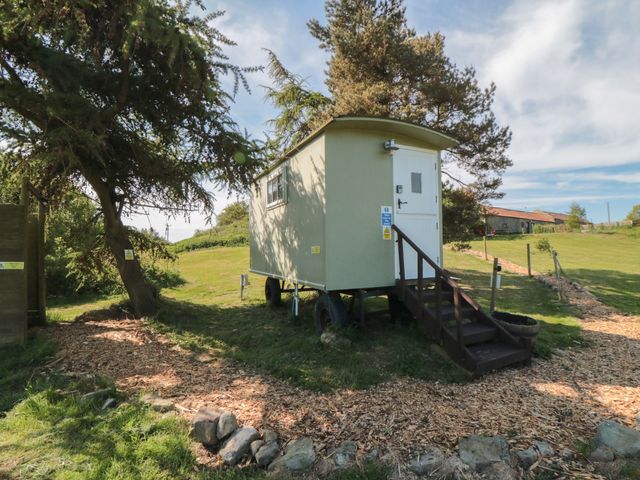 Woodpeckers Shepherds hut - 1176594 - photo 1 