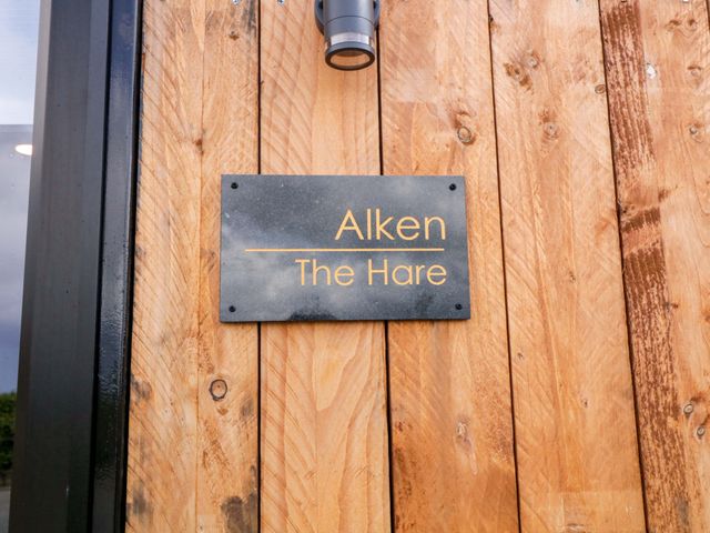 Alken The Hare - 1176760 - photo 4