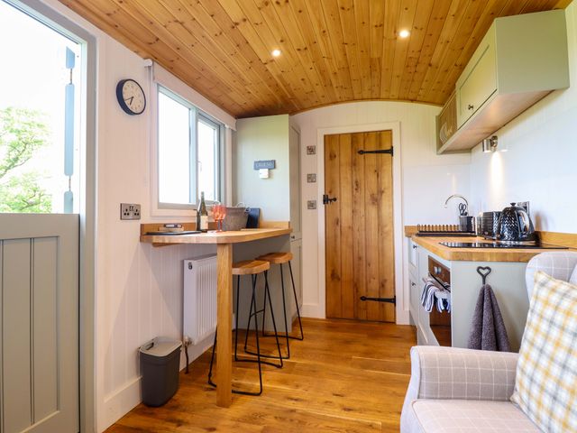 Charollais - 1177801 - photo 4