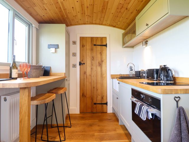 Charollais - 1177801 - photo 5