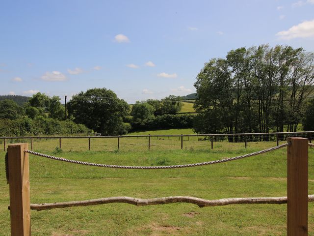 Owl's Hollow - 1177886 - photo 5