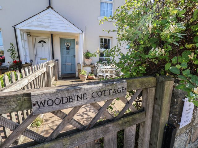 A front entrance with a blue door and gate at Woodbine Cottage in Whitby
