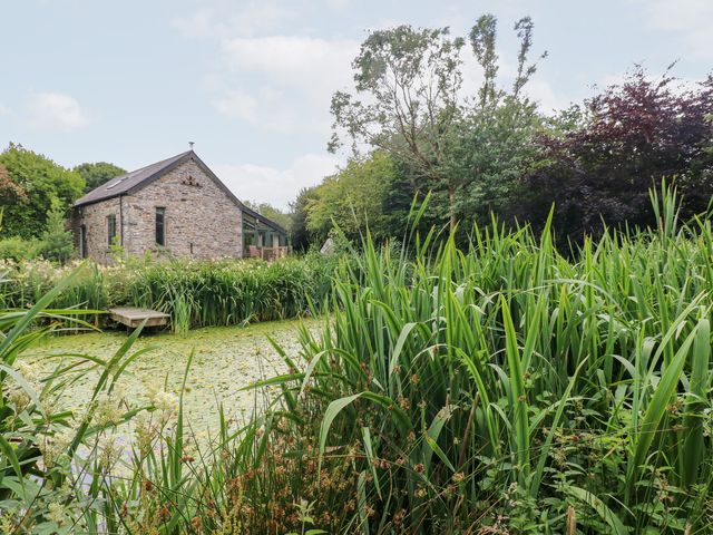 A house near a pond surrounded by plants at The Dovecote Llanychaer near Fishguard