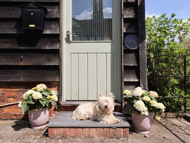 Upper Pandy Farm - 1178513 - photo 3