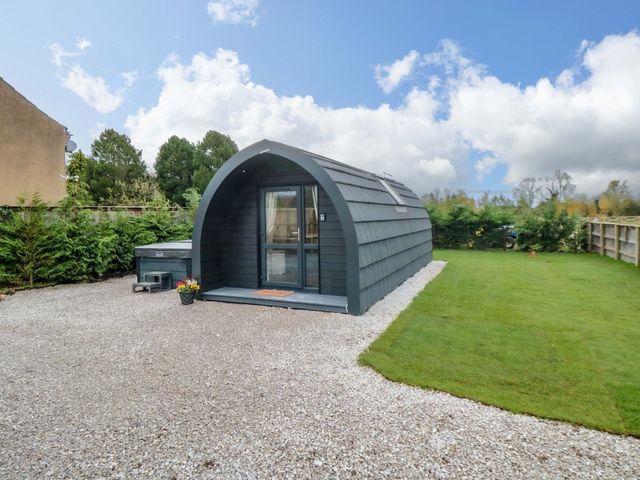 Bumblebee Glamping Pod - 1179407 - photo 2