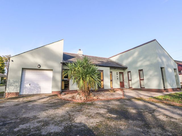 A house with a garage and palm tree at Cuddfan in Narberth