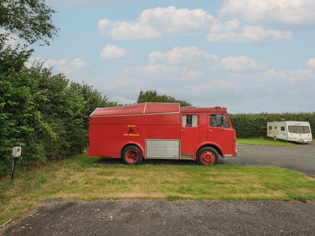 Dashing Dennis - 22 - 1179961 - photo 4