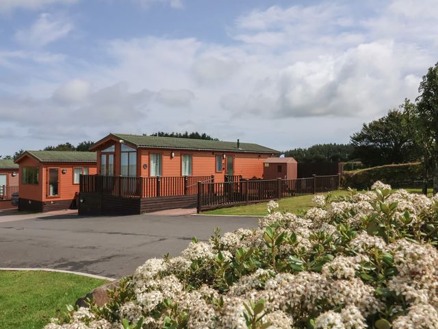 An outdoor view of log cabins and flowering shrubs at Cody Cottage Lodge Mullacott Park near Ilfracombe