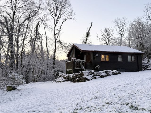 A cabin surrounded by snow and trees at Ash Lodge in Mynydd Cerrig near Porthyrhyd